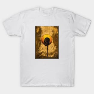 enlightened soul T-Shirt
